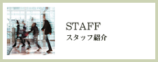 STAFF スタッフ紹介